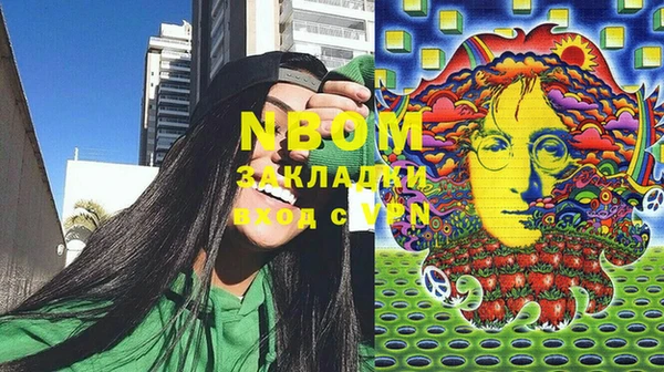 шишки Балахна