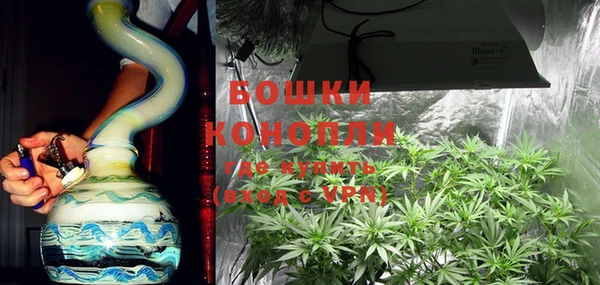 шишки Балахна