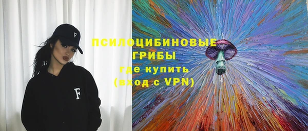 шишки Балахна